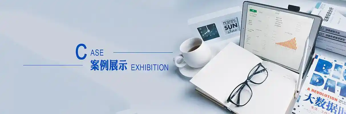 巴楚县软件开发